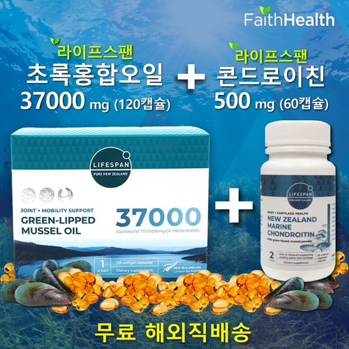 혈관맥파