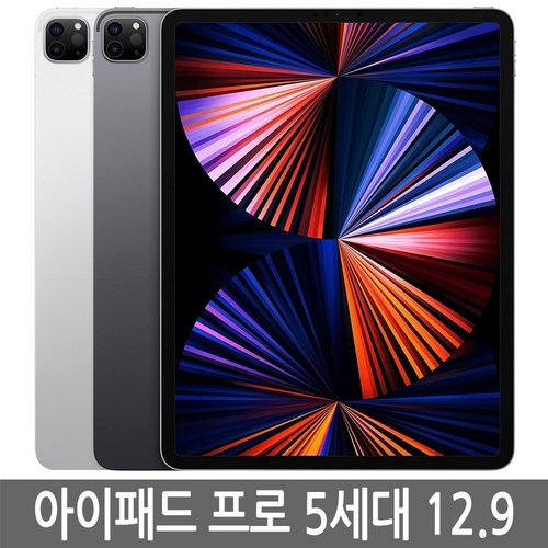 아이패드 프로 5세대 12.9 128GB 256GB 512GB 기가 WiFi/LTE 셀룰러 정품, Wi-Fi