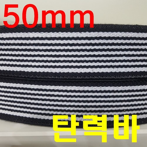 대성웨빙 탄력바50mm*10M, 1개