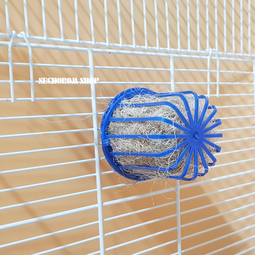 둥지풀