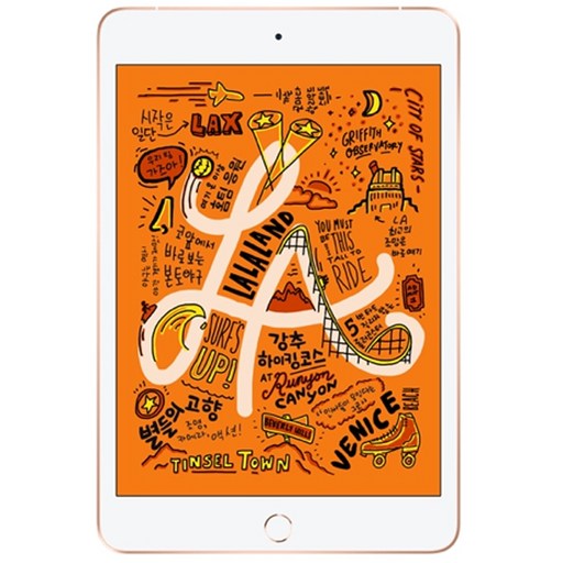 Apple iPad mini 5세대, Wi-Fi, 256GB, 골드