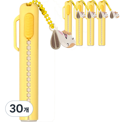 iiGEN 쁘띠키링 슬라이드 지우개