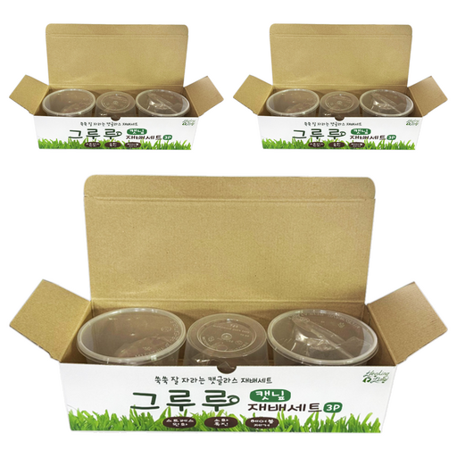 힐링타임 그루루 캣그라스 재배세트 3p