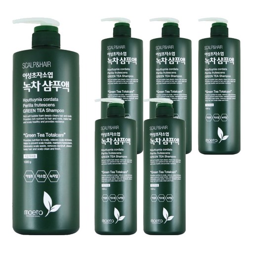 모에타 어성초 자소엽 녹차 샴푸액 지성 두피용