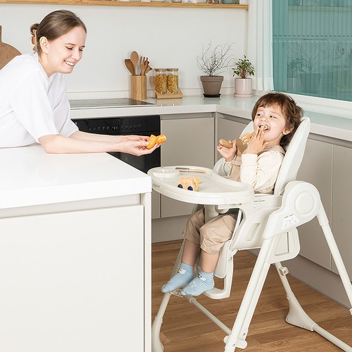 아가드 토스비 스윙 바운서 하이체어