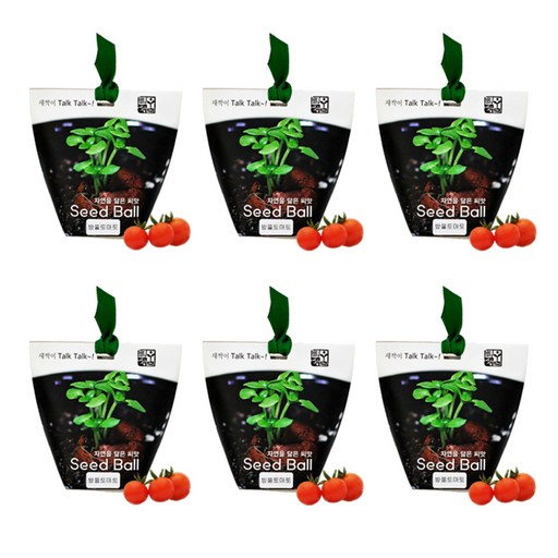 틔움세상 자연을 닮은 씨앗 Seed Ball 4p