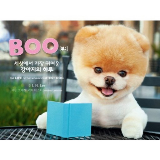 Boo 세상에서 가장 귀여운 강아지의 하루