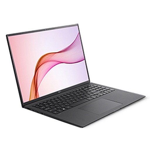 LG전자 그램 옵시디안 블랙 노트북 16ZD90P-GX5LK (i5-1135G7 40.6cm), 윈도우 미포함, 256GB, 16GB