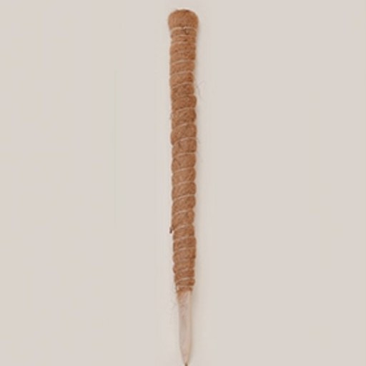 필플랜트 수태봉 화분 넝쿨식물 지지대 단독형 70cm