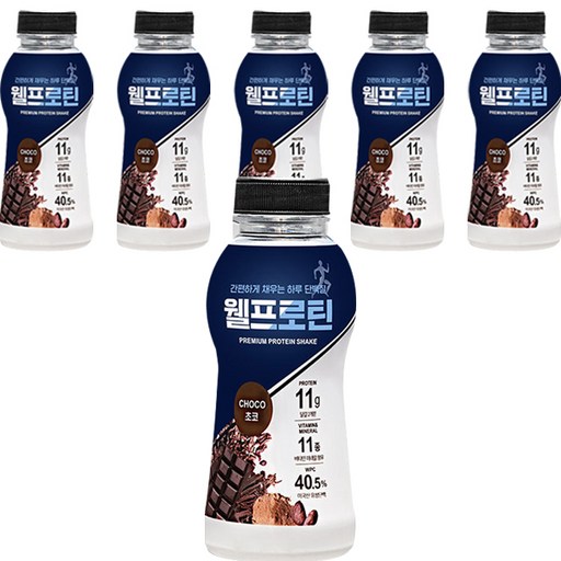 웰프로틴 초코