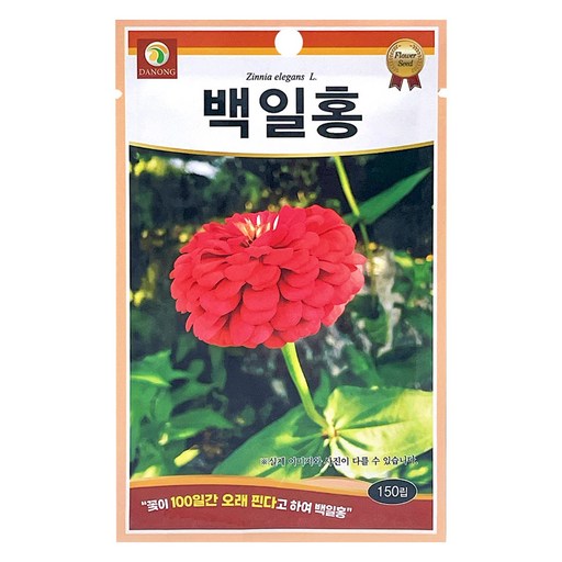 다농 백일홍 씨앗 150p