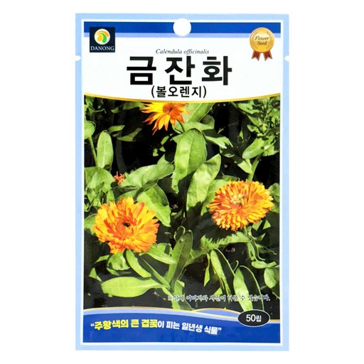 다농 금잔화 볼오렌지 씨앗 50p