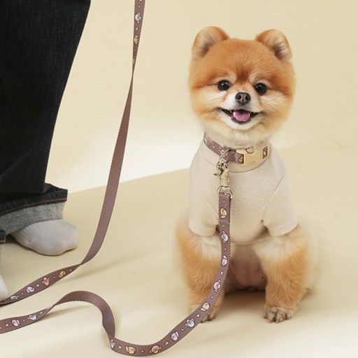 힛찌 강아지 초경량 패턴 부드러운 목줄