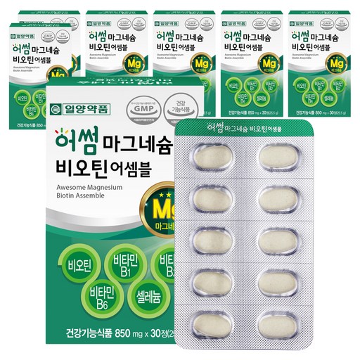 일양약품 마그네슘 비오틴 비타민B 영양제 25.5g