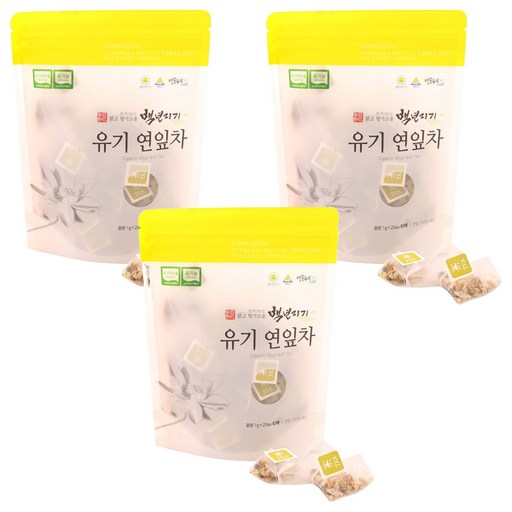 백년지기 유기 연잎차 티백
