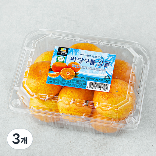 바당바름 GAP 인증 10brix 감귤