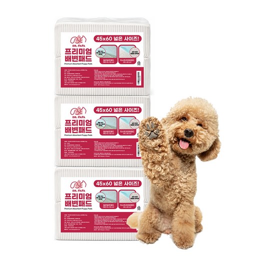 닥터파파 프리미엄 배변패드 20g, 100개입, 3개