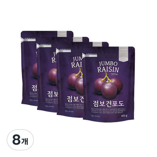 리치팜너트 점보 건포도