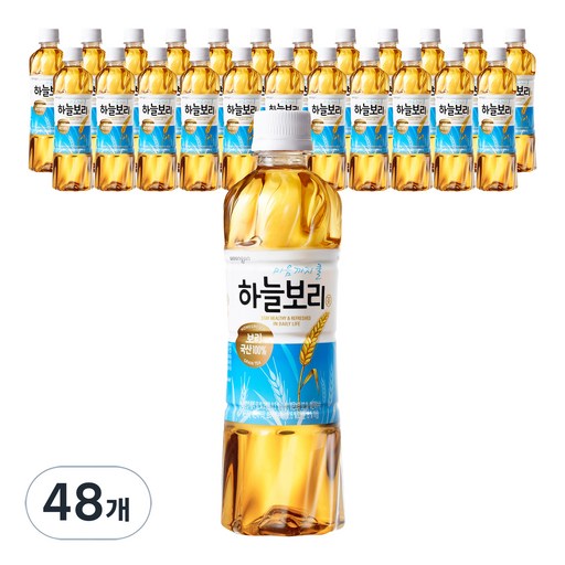 하늘보리