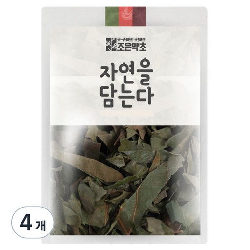 조은약초 감잎