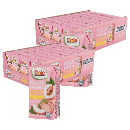 돌 피치 파라다이스 주스