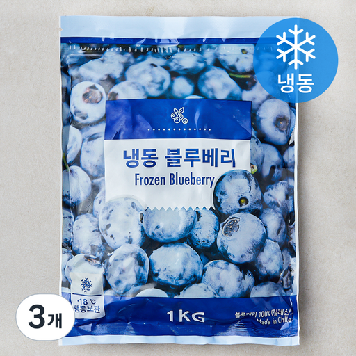블루베리 (냉동)