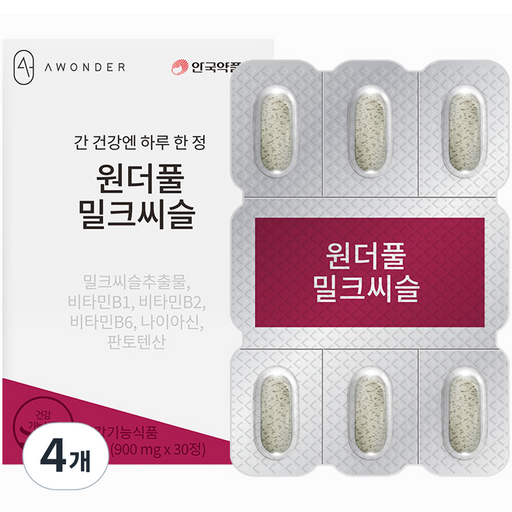 안국약품 원더풀 밀크씨슬 27g