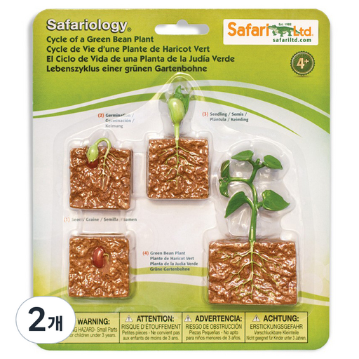 사파리엘티디 피규어 662416 콩의생장과정 Life Cycle of a Green Bean Plant