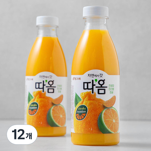 따옴 천혜향 한라봉 청귤 주스