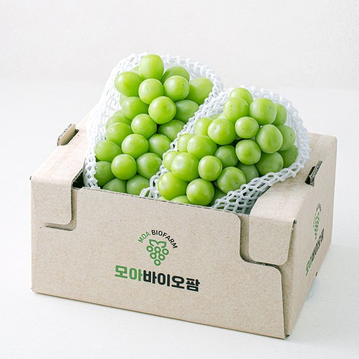 [로켓프레시] 모아바이오팜 당도선별 샤인머스캣