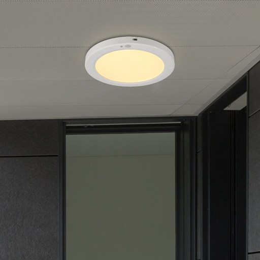 번개표 원하 번개표 엣지 원형 플리커프리 센서등 22cm LED 20W 화이트 전구색