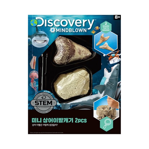 디스커버리 미니 상어이빨캐기 키트 2pcs