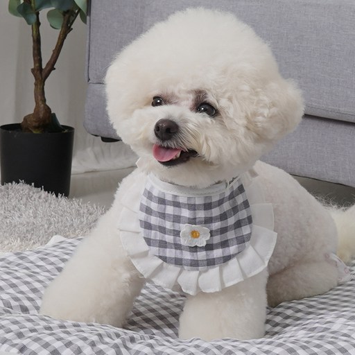 레드퍼피 강아지 올케이프 반달이