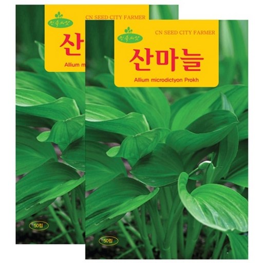 세인화분 산마늘 50립 - 명이 멩이 서수레 씨 씨앗