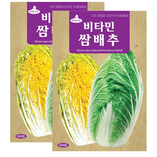 세인화분 비타민 쌈배추 1000립 - 국산 배추 씨 씨앗
