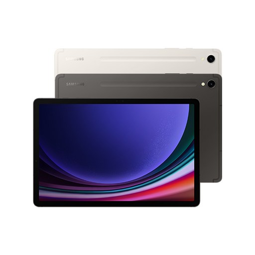 삼성전자 갤럭시탭 S9, 그라파이트, 128GB, Wi-Fi