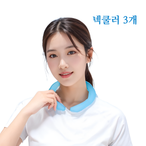 아나티어 얼음 목걸이 아이스 넥밴드 넥쿨러