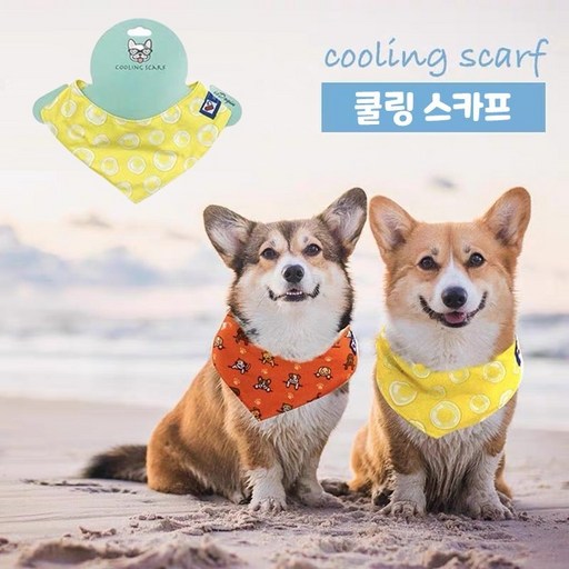 다바이마켓 애견 귀여운 쿨링 냉감각 수건 얼음 같은 느낌 M 사이즈
