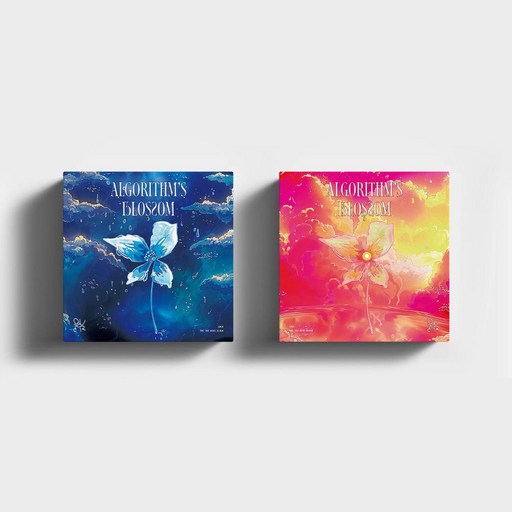QWER 앨범 알고리즘블라썸 미니2집 Algorithm's Blossom 랜덤1종 (포토북+포스트카드+CD 외) 내이름맑음
