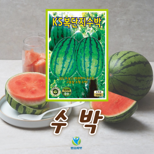 KS복단지수박 씨앗 (100립) 종묘 종자 수박 복수박 꼬마수박 씨 영웅