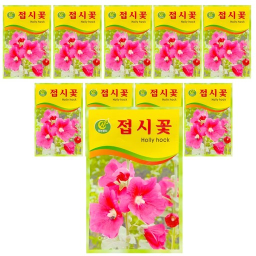 청농 꽃씨 접시꽃 25립 꽃 씨앗