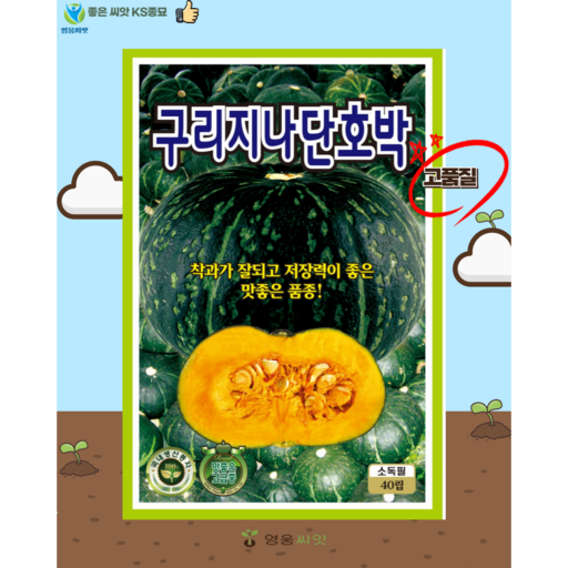 KS단호박 씨앗 구리지나 (40립) 종묘 종자 밤호박 호박 씨 단호박 영웅 KS