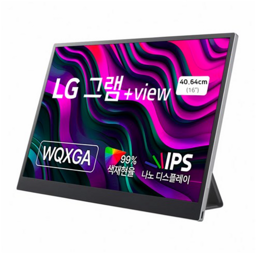 LG전자 WQXGA 그램뷰 +View 모니터