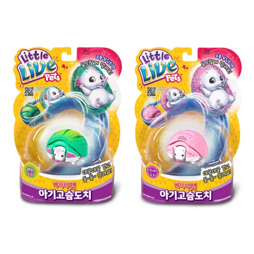 베이비펫 아기고슴도치