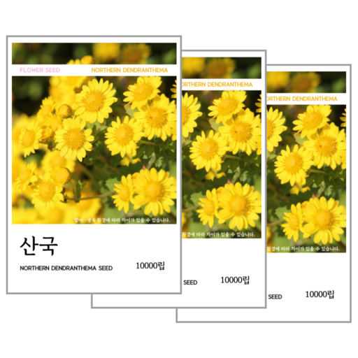 산국 씨앗(코팅 종자) 10000립