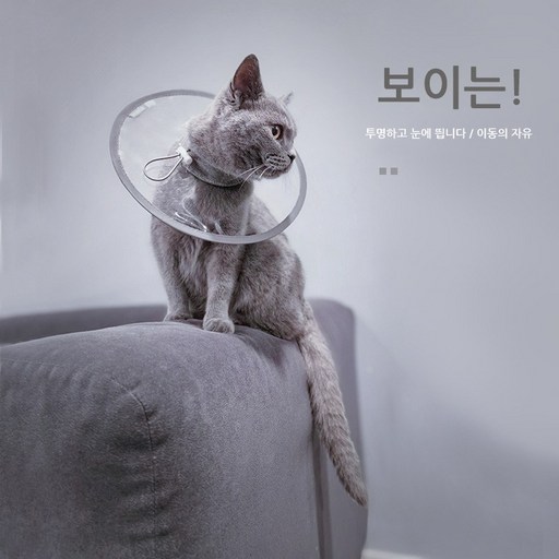 투명한엘리자베스 긁기 상처 보호 수술 후 관리 개와 고양이 투명 엘리자베스컬러 방수 상처보호 강아지 수술후 관리