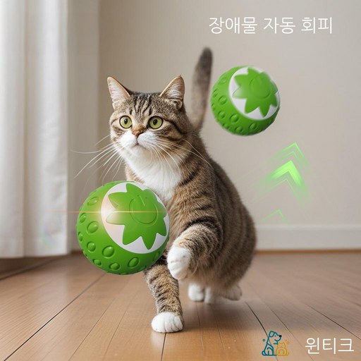 윈티크 고양이 불빛 스마트볼 잡기 딸기 장난감