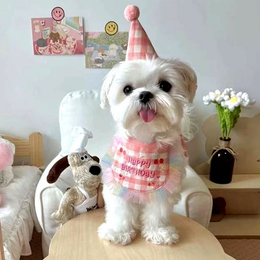 알파벳샵 강아지 고양이 생일 파티 고깔 세트 * 2개