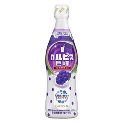 칼피스 완숙 거봉