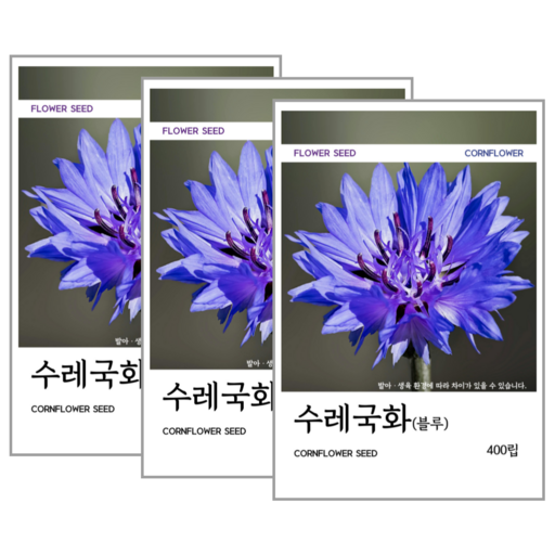 수레국화(블루) 씨앗 400립